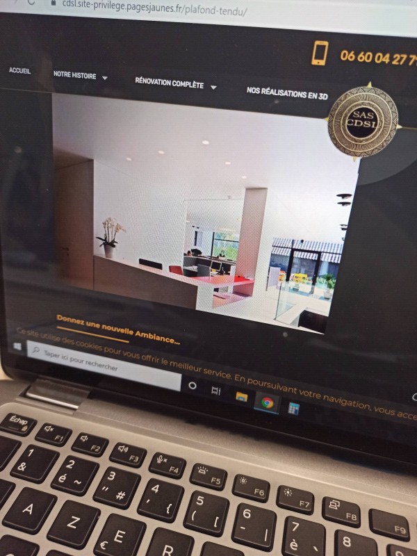 Recherche société spécialisée en plafond tendu pour villa à Fréjus