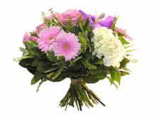 Pétale Box Marie Pétale à Lyon